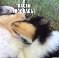 Пасть расслабь )