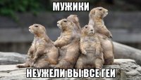 мужики неужели вы все геи