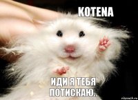 Kotena иди я тебя потискаю..