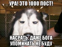 ура! это 1000 пост! насрать, даже бога упоминать не буду