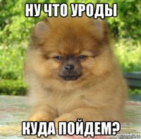 ну что уроды куда пойдем?