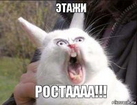 ЭТАЖИ РОСТАААА!!!