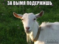 за вымя подержишь 