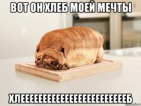 вот он хлеб моей мечты хлееееееееееееееееееееееееб