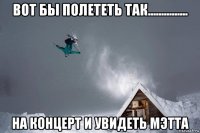 вот бы полететь так............... на концерт и увидеть мэтта