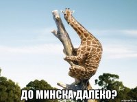  до минска далеко?