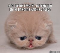 Этот котик грустит, потому что вы не вписали ключи в текст