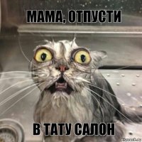 МАМА, ОТПУСТИ В ТАТУ САЛОН