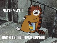 Черек Черек Нас и тут неплохо кормят