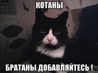 котаны братаны добавляйтесь !