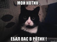 мой котик , ебал вас в ротик !