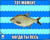 тот момент когда ты лесь