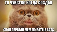 то чувство когда создал свой первый мем по battle cats