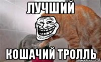 лучший кошачий тролль