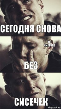 сегодня снова без сисечек нет сисечек