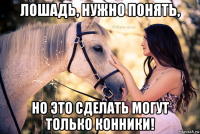 лошадь, нужно понять, но это сделать могут только конники!