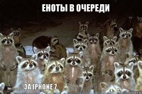 Еноты в очереди За iPhone 7