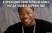 я проходил свой первый класс когда гусей в деревне пас 