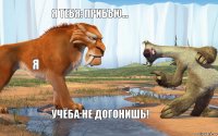 Я тебя: прибью... Я Учёба:Не догонишь!