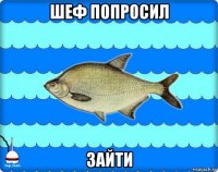 шеф попросил зайти