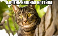 я очень няшная котейка 