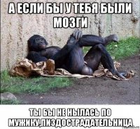 а если бы у тебя были мозги ты бы не нылась по мужику,пиздострадательница