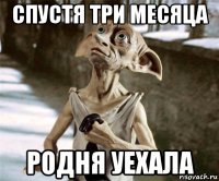 спустя три месяца родня уехала