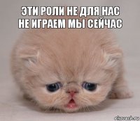 эти роли не для нас не играем мы сейчас