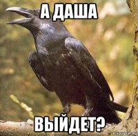 а даша выйдет?