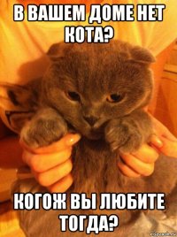 в вашем доме нет кота? когож вы любите тогда?