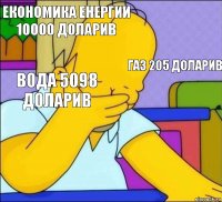 економика енергии 10000 доларив газ 205 доларив вода 5098 доларив   