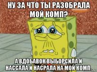 ну за что ты разобрала мой комп? а вдобавок выборсила и нассала и насрала на мой комп.