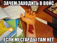 зачем заходить в войс если месгарды там нет