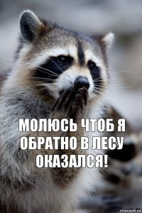  Молюсь чтоб я обратно в лесу оказался!