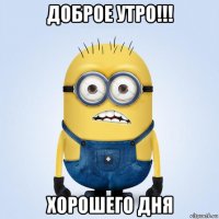 доброе утро!!! хорошего дня