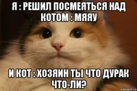 я : решил посмеяться над котом : мяяу и кот : хозяин ты что дурак что-ли?