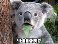  че вякнул?