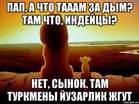 пап, а что тааам за дым? там что, индейцы? нет, сынок. там туркмены йузарлик жгут