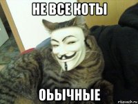 не все коты оьычные