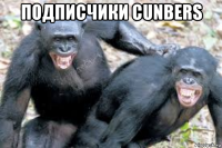 подписчики cunbers 