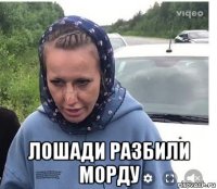  лошади разбили морду