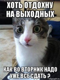 хоть отдохну на выходных как во вторник надо уже все сдать ?