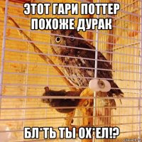 этот гари поттер похоже дурак бл*ть ты ох*ел!?