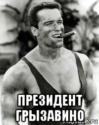  президент грызавино