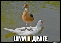  шум в драге