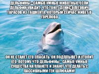 дельфины - самые умные животные. если дельфин увидит, что тонет денис олегович тарасов из ташкента, который сейчас живет в горелово он не станет его спасать. он подплывет и утопит его, потому что дельфины - самые умные существа на планете и знают что делать с пассивными гей-шлюхами!