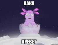 пака превет