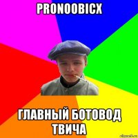 pronoobicx главный ботовод твича