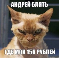 Андрей блять где мои 156 рублей