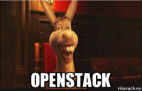  openstack